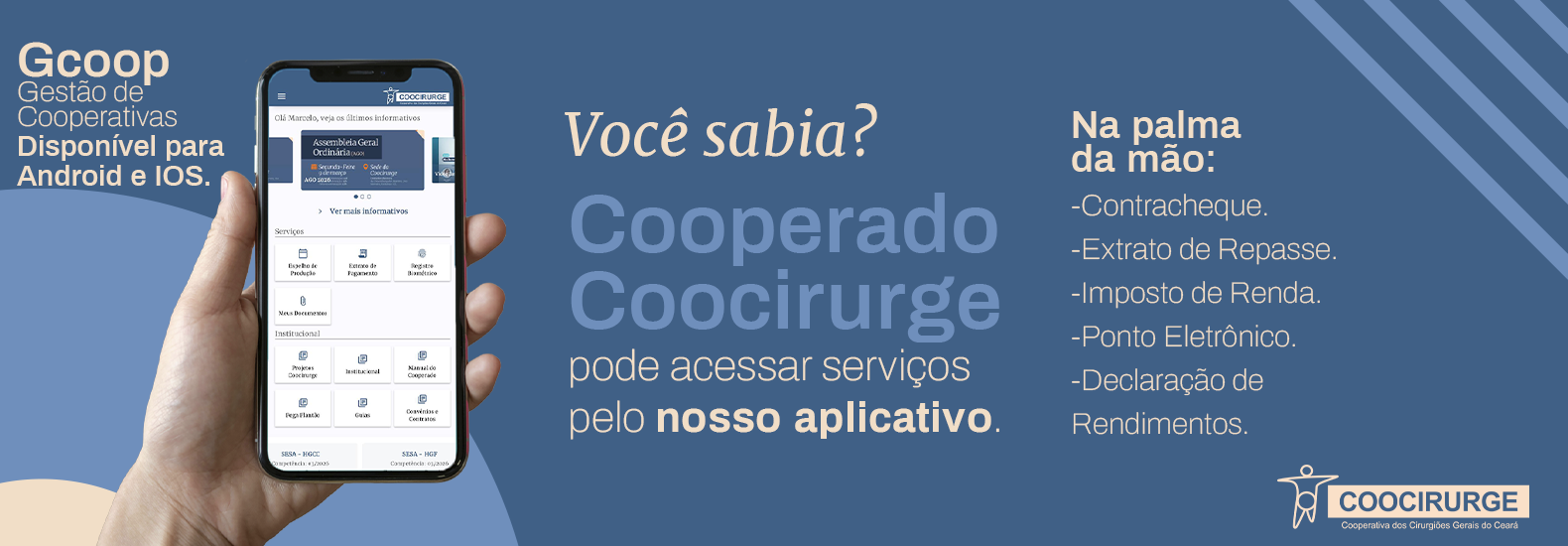 Você Sabia 2 - Desktop